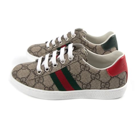 brown gucci trainers